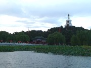 134  White Pagoda.JPG